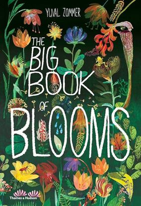 Εικόνα της THE BIG BOOK OF BLOOMS HC
