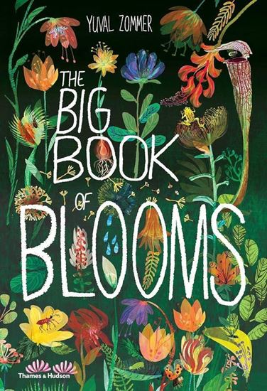 Εικόνα από THE BIG BOOK OF BLOOMS HC