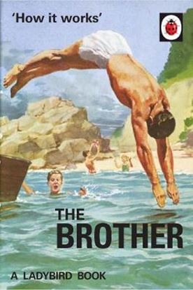 Εικόνα της LADYBIRD FOR GROWN-UPS : HOW IT WORKS : THE BROTHER HC
