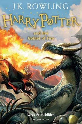 Εικόνα της HARRY POTTER AND THE GOBLET OF FIRE - HC LARGE PRINT EDITION