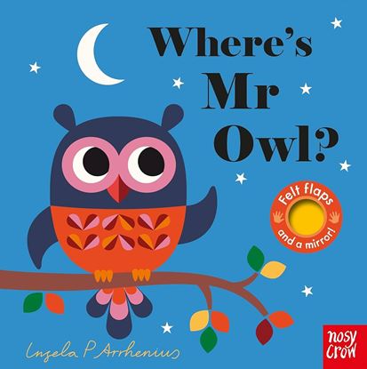Εικόνα της WHERE'S MR OWL? HC BBK