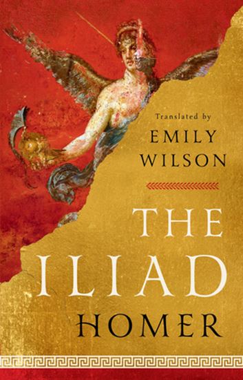 Εικόνα από THE ILIAD - TRANSLATED BY EMILY WILSON HC