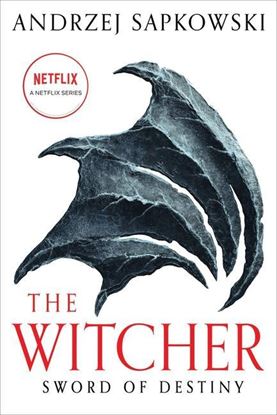 Εικόνα της THE WITCHER: SWORD OF DESTINY N/E