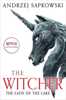 Εικόνα της THE WITCHER 5: THE LADY OF THE LAKE N/E