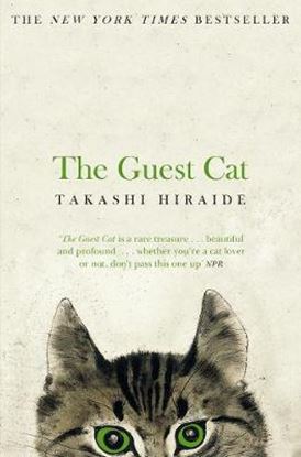 Εικόνα της THE GUEST CAT PB