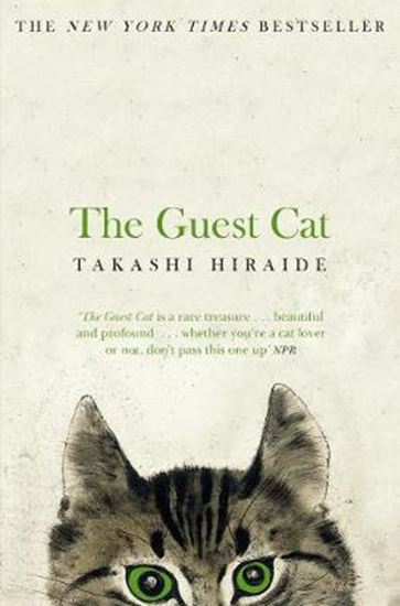 Εικόνα από THE GUEST CAT PB