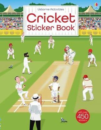Εικόνα της USBORNE : CRICKET STICKER BOOK