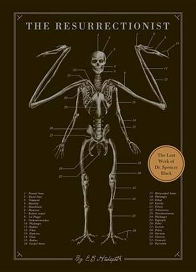 Εικόνα από THE RESURRECTIONIST : THE LOST WORK OF DR SPENCER BLACK PB