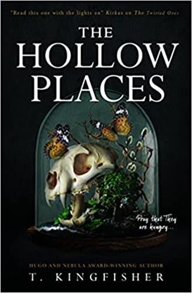 Εικόνα της THE HOLLOW PLACES PB