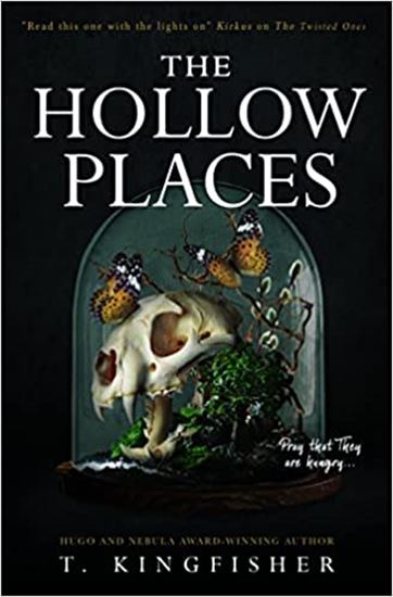 Εικόνα από THE HOLLOW PLACES PB