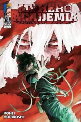 Εικόνα της MY HERO ACADEMIA, VOL. 28 PA