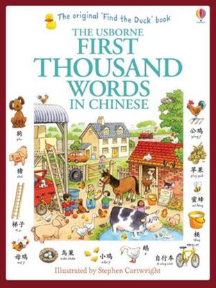 Εικόνα της USBORNE: FIRST THOUSAND WORDS IN CHINESE  PB