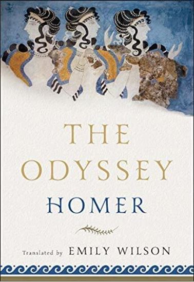 Εικόνα από THE ODYSSEY (TRANSLATOR EMILY WILSON) PB