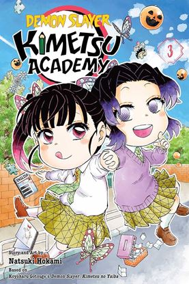 Εικόνα της DEMON SLAYER: KIMETSU V3 PA