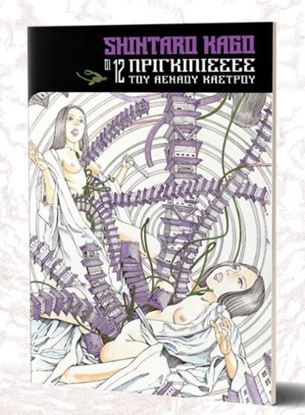 Εικόνα της ΟΙ 12 ΠΡΙΓΚΙΠΙΣΣΕΣ ΤΟΥ ΑΕΝΑΟΥ ΚΑΣΤΡΟΥ