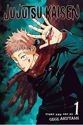 Εικόνα της JUJUTSU KAISEN, VOL. 01 PA