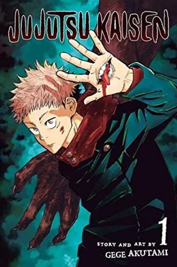 Εικόνα από JUJUTSU KAISEN, VOL. 01 PA