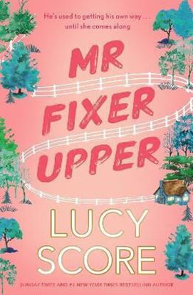 Εικόνα της MR. FIXER UPPER