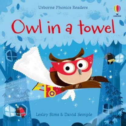 Εικόνα της USBORNE PHONIC READERS: OWL IN A TOWEL PB