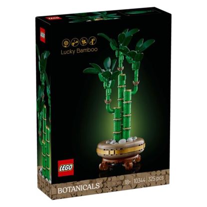 Εικόνα της LEGO® BOTANICAL COLLECTION: LUCKY BAMBOO