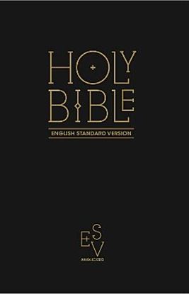 Εικόνα της HOLY BIBLE: ENGLISH STANDARD VERSION (ESV) ANGLICISED BLACK GIFT AND AWARD EDITION