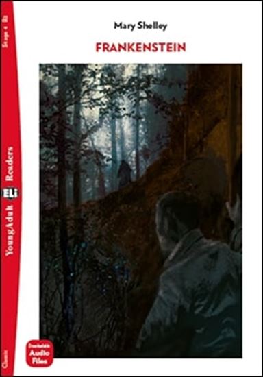 Εικόνα από YAR 4: FRANKENSTEIN (+ DOWNLOADABLE MULTIMEDIA)