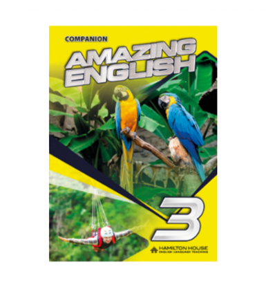 Εικόνα της AMAZING ENGLISH 3 COMPANION WITH KEY