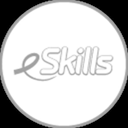 Εικόνα για την κατηγορία E-SKILLS
