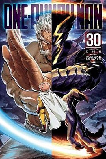 Εικόνα από ONE-PUNCH MAN, VOL. 30 PA