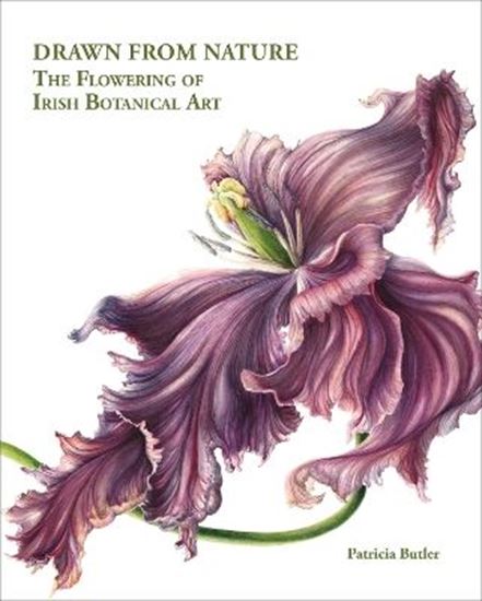 Εικόνα από DRAWN FROM NATURE: THE FLOWERING OF IRISH BOTANICAL ART