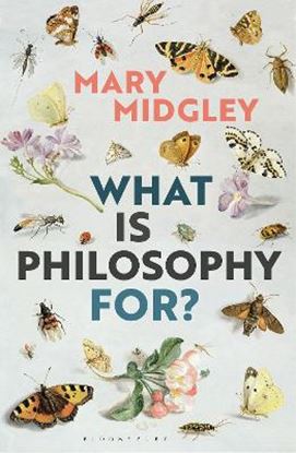 Εικόνα της WHAT IS PHILOSOPHY FOR?