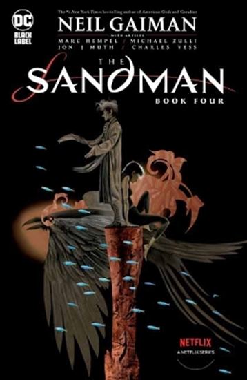 Εικόνα από THE SANDMAN BOOK FOUR