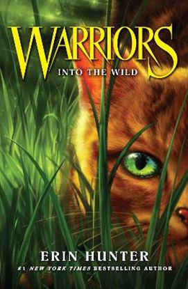 Εικόνα της WARRIOR CATS 1: INTO THE WILD PB B FORMAT