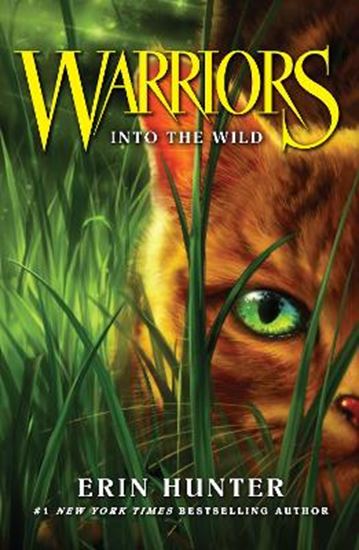 Εικόνα από WARRIOR CATS 1: INTO THE WILD PB B FORMAT