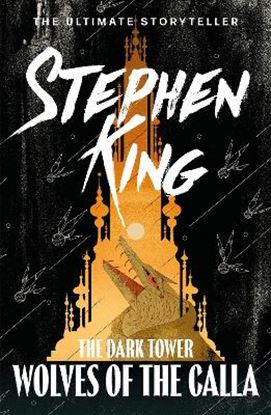 Εικόνα της THE DARK TOWER V: WOLVES OF THE CALLA : (VOLUME 5) PB