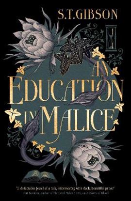 Εικόνα της AN EDUCATION IN MALICE