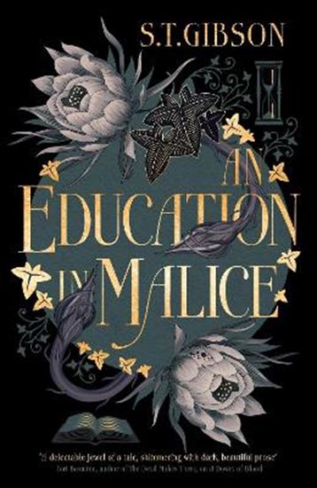 Εικόνα από AN EDUCATION IN MALICE