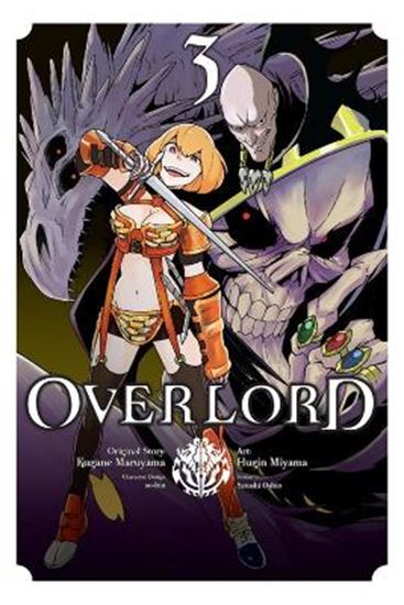 Εικόνα από OVERLORD, VOL. 3