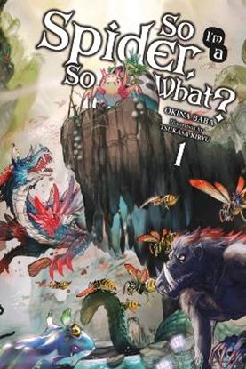 Εικόνα της SO I 'M A SPIDER, SO WHAT? VOL.1 (LIGHT NOVEL)