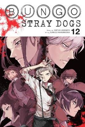 Εικόνα της BUNGO STRAY DOGS, VOL. 12
