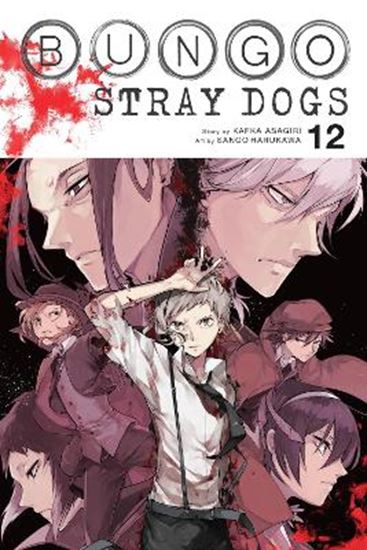 Εικόνα από BUNGO STRAY DOGS, VOL. 12
