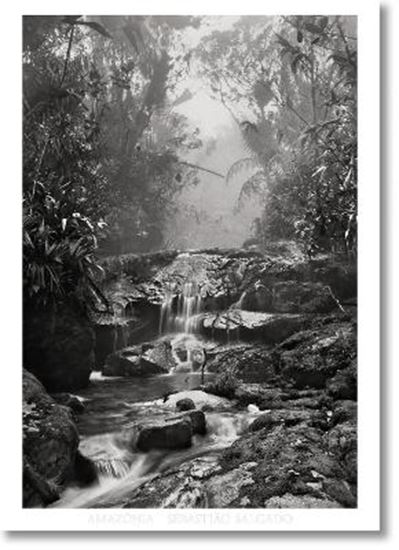 Εικόνα από SEBASTI?O SALGADO. AMAZΟNIA. POSTER 'CREEK'