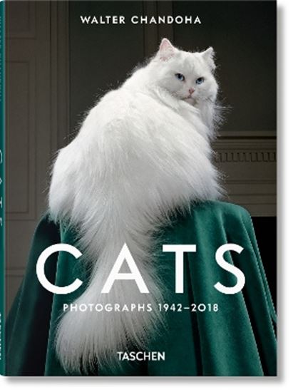 Εικόνα από WALTER CHANDOHA. CATS. PHOTOGRAPHS 1942-2018 HC