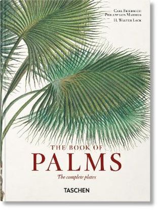 Εικόνα της TASCHEN 45TH EDITION : MARTIUS. THE BOOK OF PALMS. 40TH ED. HC