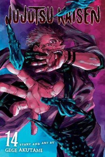 Εικόνα από JUJUTSU KAISEN, VOL. 14 PA