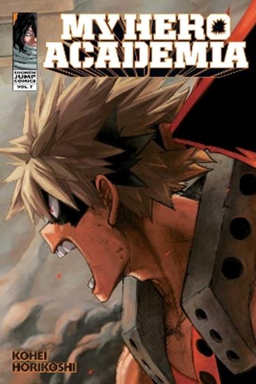 Εικόνα από MY HERO ACADEMIA, VOL. 07 PA