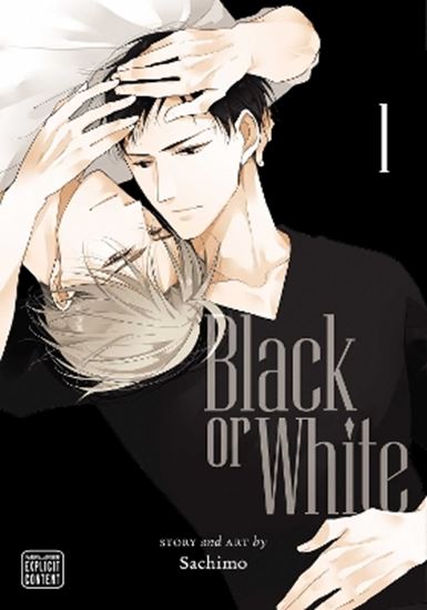 Εικόνα από BLACK OR WHITE, VOL. 01 PA
