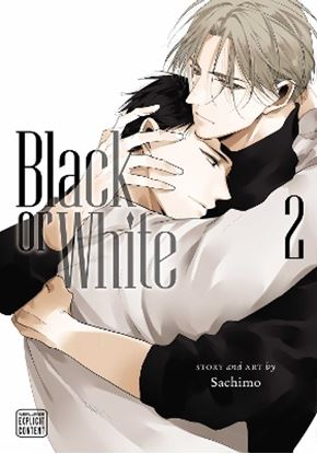 Εικόνα της BLACK OR WHITE, VOL. 02 PA