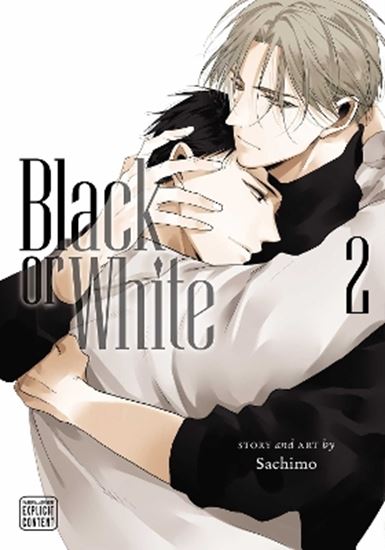 Εικόνα από BLACK OR WHITE, VOL. 02 PA