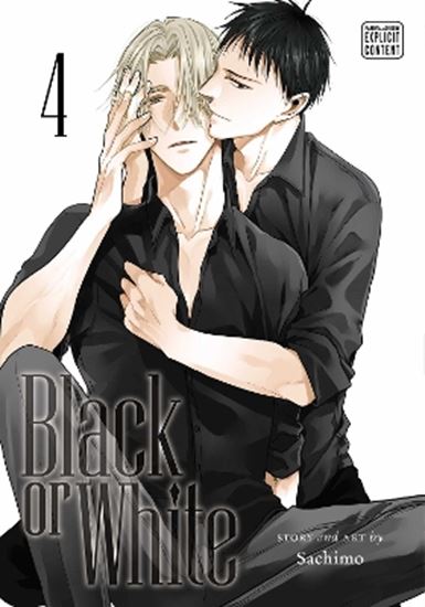 Εικόνα από BLACK OR WHITE, VOL. 04 PA